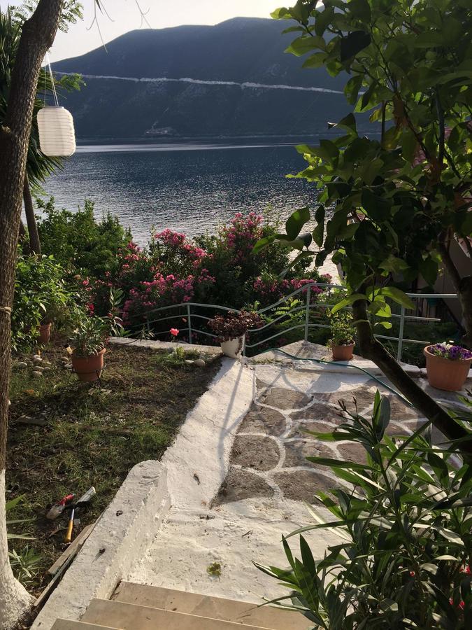 Apartment Delfini Bay Retreat Vasiliki (Lefkada)
